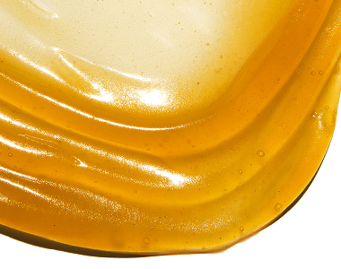 Newsletter Image