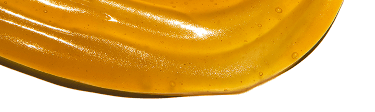 Newsletter Image
